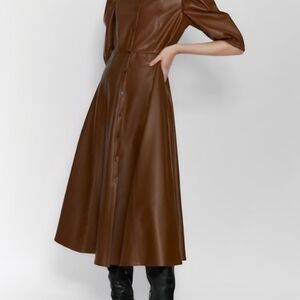 Zara Chocolate Brown Long Sleeve Dress